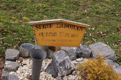 Elsdorf