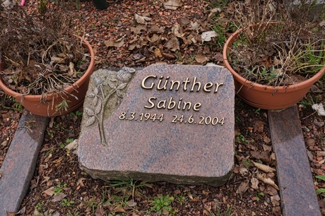 Elsdorf