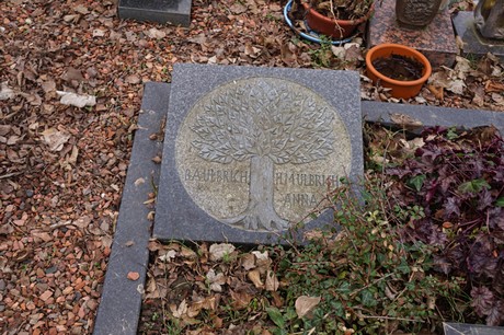 Elsdorf