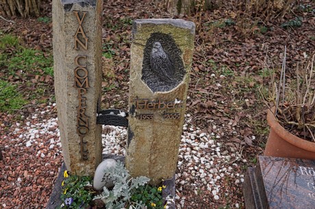 Elsdorf