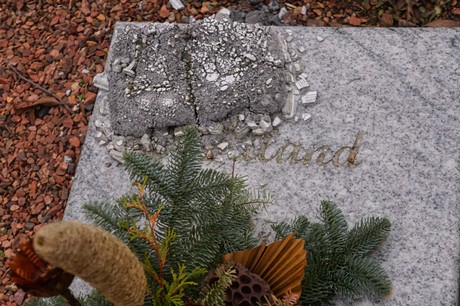 Elsdorf