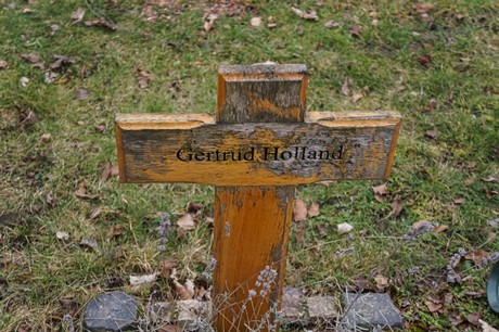Elsdorf