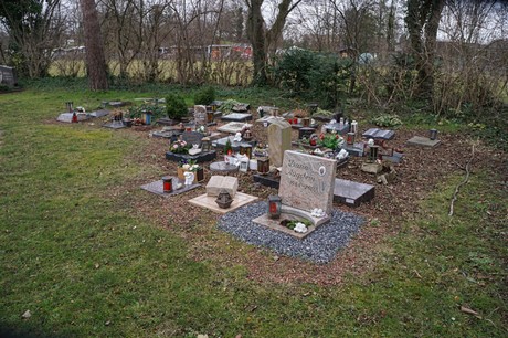 Elsdorf
