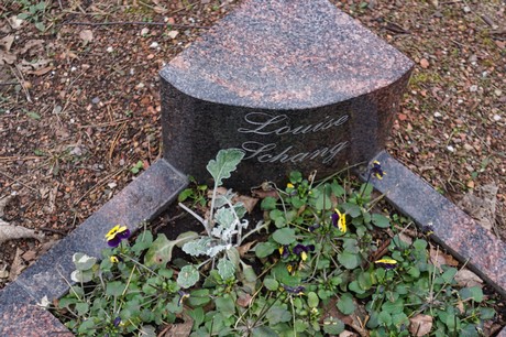 Elsdorf