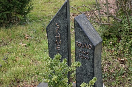 Elsdorf