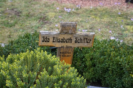 Elsdorf