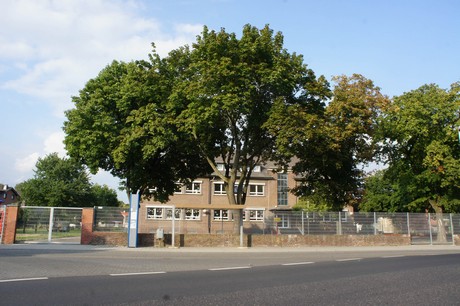 elsdorf