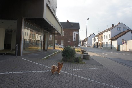 elsdorf