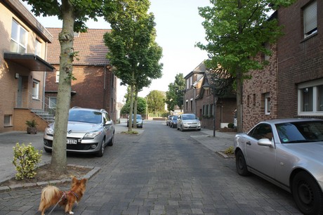 elsdorf