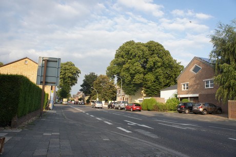 elsdorf