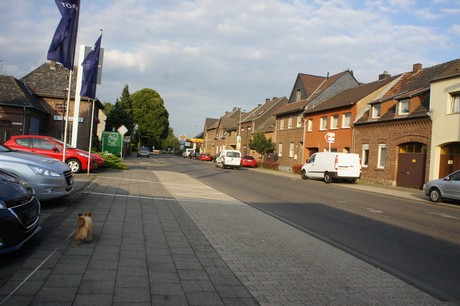 elsdorf