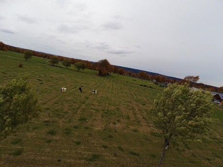 erftstadt