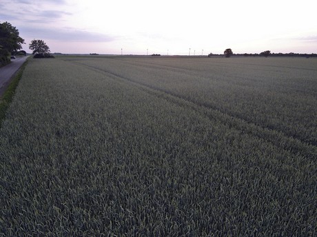 erftstadt