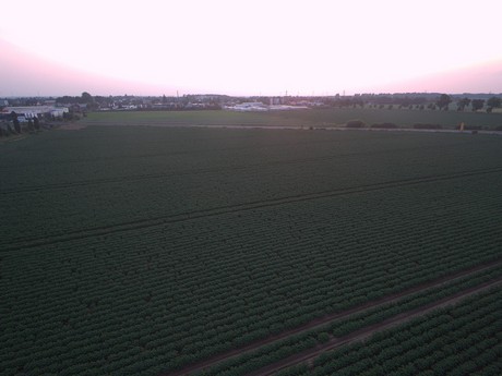 erftstadt
