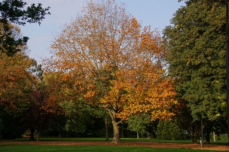 Erwitte