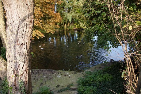 Erwitte