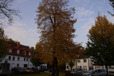 Erwitte