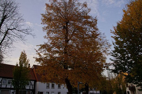Erwitte