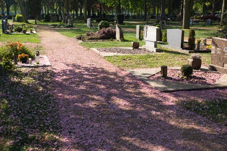 euskirchen