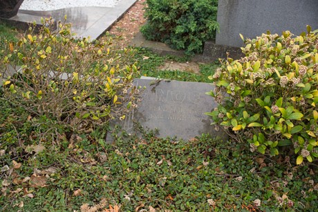 euskirchen