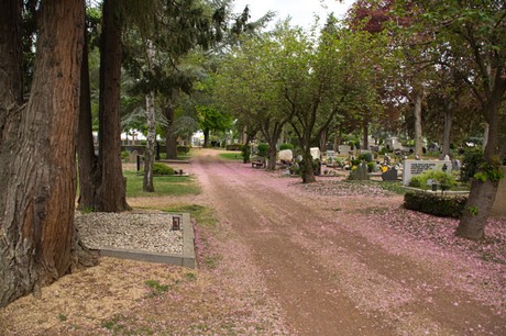 euskirchen