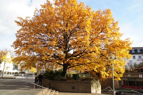 euskirchen