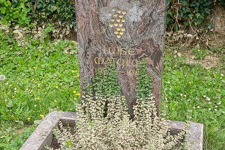 Flerzheim