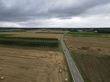 Flerzheim