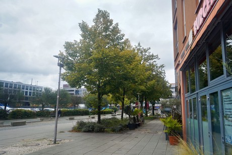Frankfurt