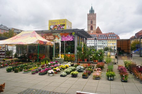 Frankfurt