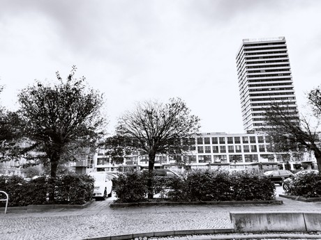 Frankfurt