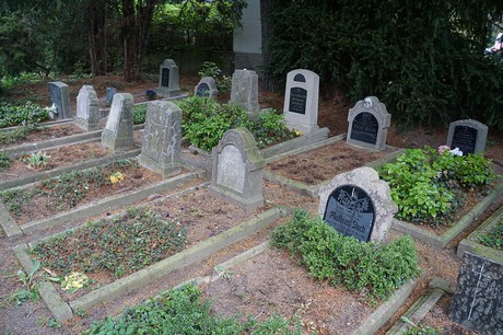 Friedhof