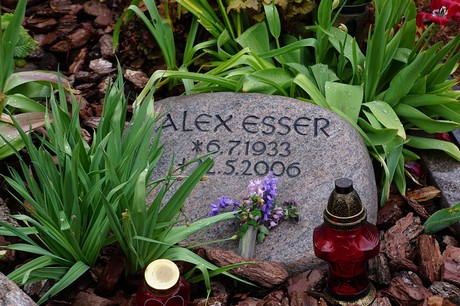 Friedhof