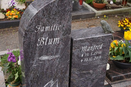 Friedhof