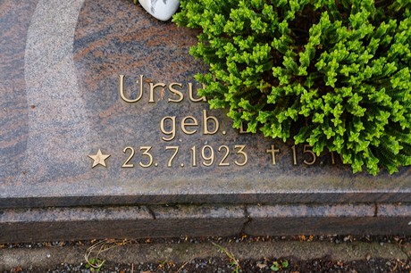 Friedhof