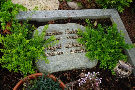 Friedhof