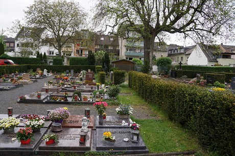 Friedhof