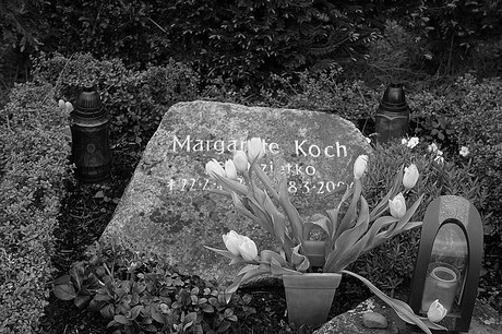 Friedhof