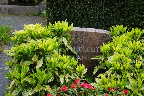 Friedhof