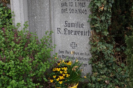 Friedhof