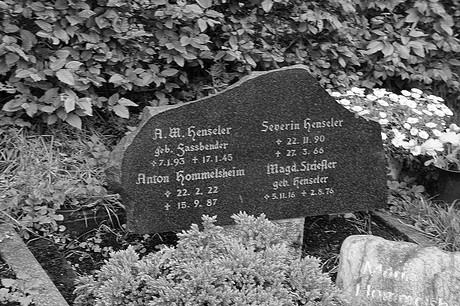 Friedhof