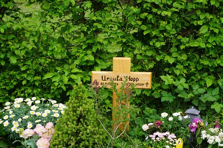 Friedhof