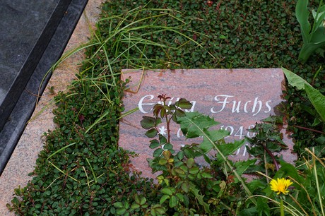 Friedhof
