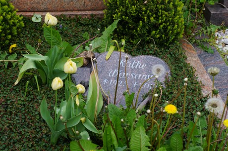 Friedhof