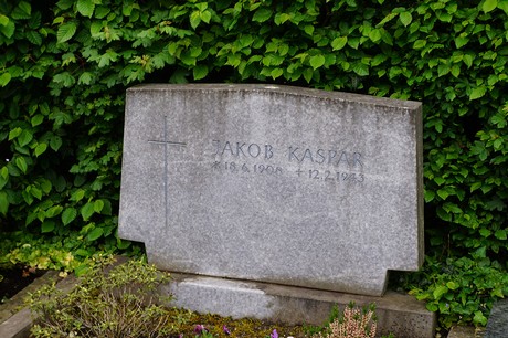 Friedhof