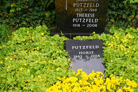 Friedhof