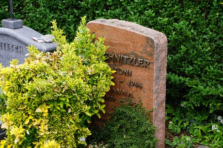 Friedhof