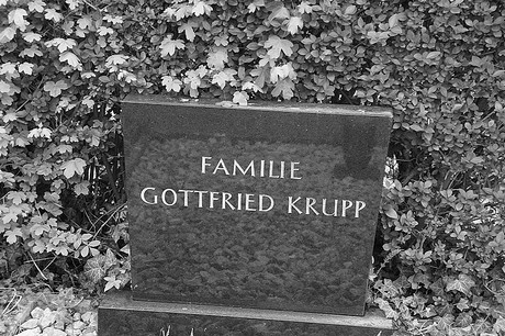 Friedhof