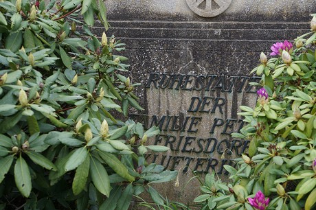 Friedhof
