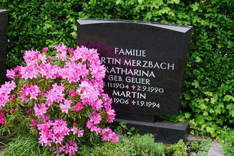 Friedhof